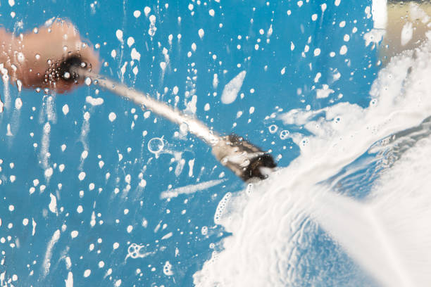 Animal Enclosure Cleaning in South Point, OH